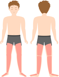 脱毛部位の図　-足フル(足先～太腿)-