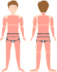 脱毛部位の図　-全身(顔・VIOなし)-